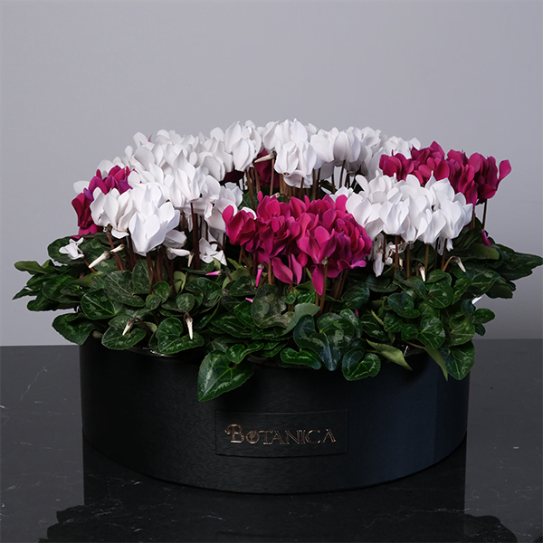 luxury flower delivery lebanon - Botanica Flower Boutique