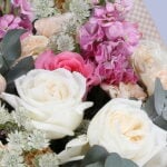 Hues of Nature Bundle