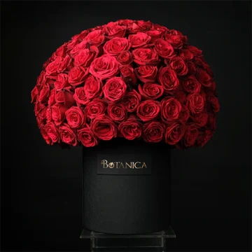 Roses Delivery in Lebanon
