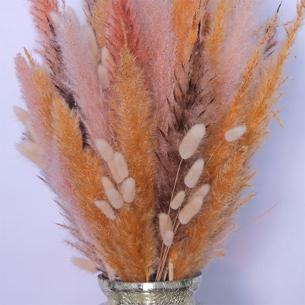 Fragrant Fossils Dried Flowers