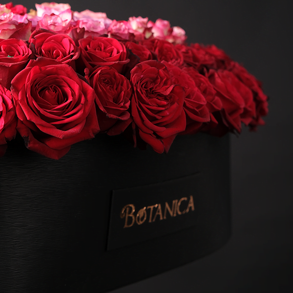 Heart's Desire - 250 Roses