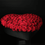 Roses of Love - 150 Roses