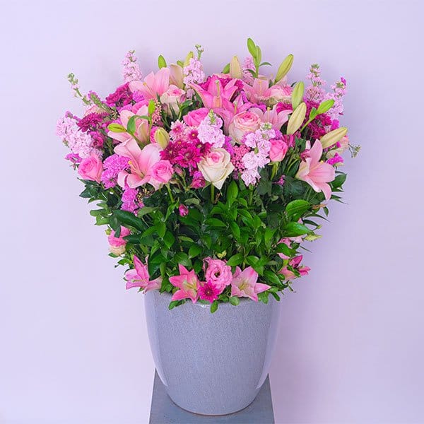 Forest Blooms