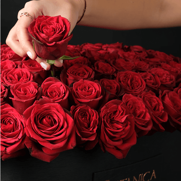 14.png Roses of Love - 150 Roses