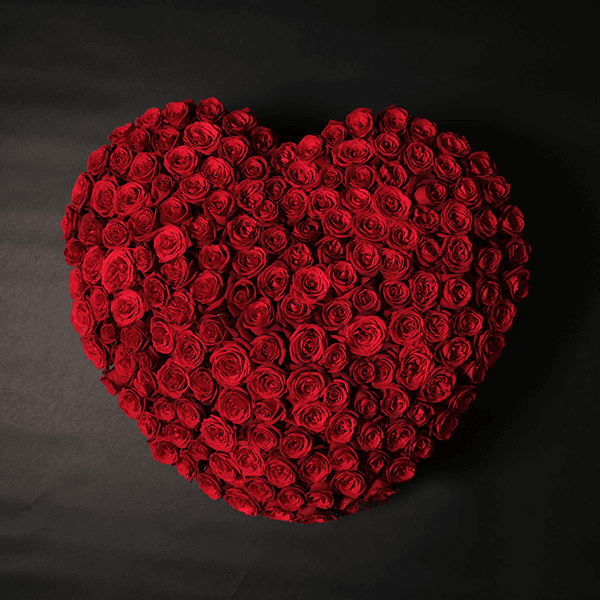 15.png Roses of Love - 150 Roses