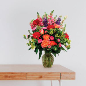 Colorful Blooms