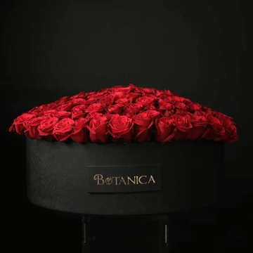 Endless Romance - 150 roses