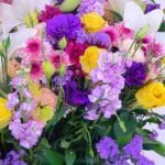 Mist Bouquet