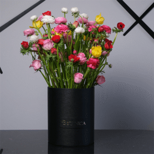 Nature's Delight Colorful Bouquet