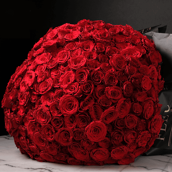 Cherished Moment - 300 Roses