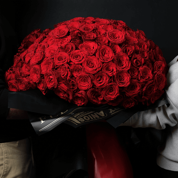 Cherished Moment - 300 Roses