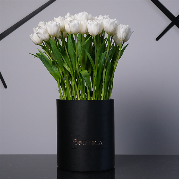 White Tulip Perfection