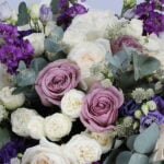 Purple Poetry