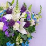 Violet Harmony