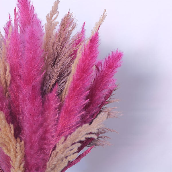 Rustic Floral Dried Flowers