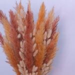 Golden Harvest Dried Flowers