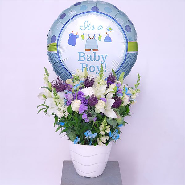 Violet Harmony Bundle